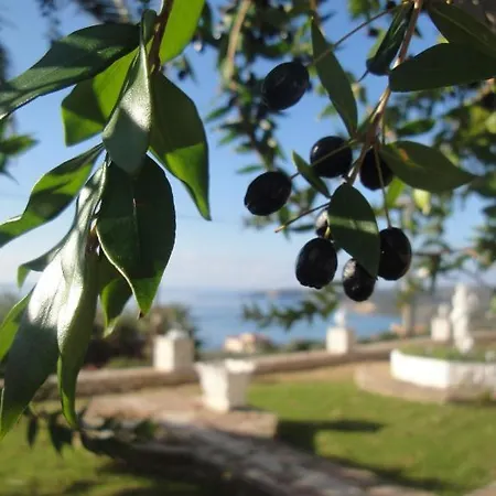 Apart Otel Ocean Front 77