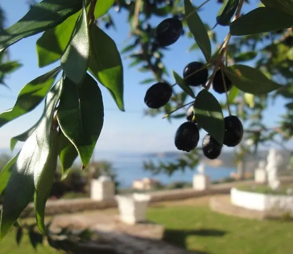 Aparthotel Ocean Front 77